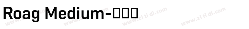 Roag Medium字体转换